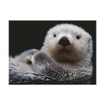 Nisar Store Puzzle 16980 - Tatlı Küçük Otter - 500 Parça Yapboz 10 Yaşından Büyük Çocuklar ve Yetişkinler Için, Hayvan Motifli Yapboz - 01-Mavi
