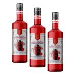 Nish Berry Hibiscus Aromalı Baz İçecek 700 ML (3 paketi)