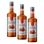 Nish Tuzlu Karamel Aromalı Şurup 700 ML - Cam Şişe (3 paketi)