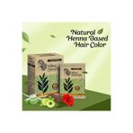 nishA NATURE MATE 6x10g Zarf Saç Beyaz Kapatıcı Hindistan Kınası SİYAH Orjinal Kına,Fırcası Hediyeli
