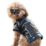 NIULA Köpek Kışlık Kaban Pu Deri Motosiklet Ceketi Köpek Evcil Hayvan Giysileri için Deri Ceket, Su Geçirmez (M)