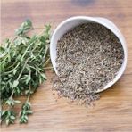 Nk Organik Dağ Kekiği (Thymus Serpyllum) 500GR - 1 Adet