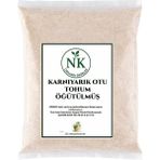 Nk Organik Karnıyarık Tohumu Toz (Psyllium Husk) 100GR - 1 Adet