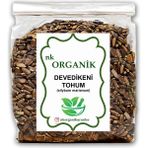 Nk Organik Tıbbi Devedikeni Tohumu Yeni Mahsül 90GR - 1 Adet
