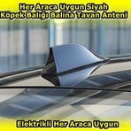 Nkt Group Elektrikli Her Araca Uygun Siyah Shark Köpek Balığı Balina Tavan Anteni E.M.