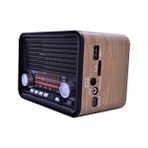 NNS NS-1537BT Kahverengi Şarjlı Nostaljik Radyo