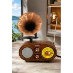 Nns Ns-803Bt Kahverengi Retro Radyo Bluetooth Hoparlör Usb Tf Kart Şarjlı Nostaljik Radyo