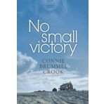 No Small Victory by Connie Brummel Crook (2010-06-30)