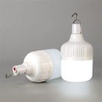 Noas 30W 6500K Beyaz Işık LED Ampul E-27 Duy ile Dim Edilebilir Taşınabilir Ampul