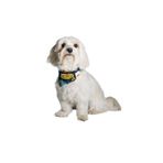 NobleDog Balina Desenli Lacivert Köpek Fuları Lacivert M