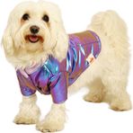 Nobledog Store Nobledog Mor Parlak Köpek Montu - 1