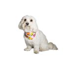 NobleDog Turunçgil Desenli Pembe Köpek Fular Pembe M