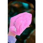 NobleStances Kadın Pembe peluş kalemlik ve makyaj çantası Modern Tasarım 826334