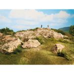 Noch 8323 Serpme Çim, Kahverengi, 2.5 mm, 20 Gram Diorama Malzemesi