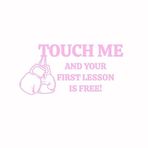 Nok Nok Touch Me and Your First Lesson is Free Boks Eldivenleri Komik Çıkartması Vinil Çıkartma |Otomobil Kamyonları Kamyonet Duvarları Dizüstü Bilgisayar| Pembe |5,5 x 3 inç| 2064