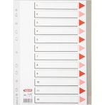 Noki 1-12 Rakamlı Plastik A4 Seperatör