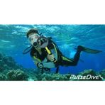 Nokta Pulse Dive Scuba Dedektörü Pointer