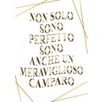 Non Solo Sono Perfetto Sono Anche Un Meraviglioso camparo: Agenda 2023-2024 Settimanale e Giornaliera A4 Grande Formato |24 Mesi, Pianificatore a 2 anni (Regalo per Camparo)