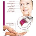Nordmende Derma Roller -102