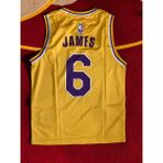 North Stand Lebron James Los Angles Lakers NBA Basketbol Forması - Lacivert