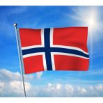 Norveç Bayrağı Premium Raşel Kumaş 100X150 cm