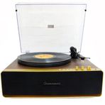 Nostaljik Ahşap Kaplama Pikap 33X45 Plaklar Bass Bluetooth Crownwell Vegas Plus (gold)