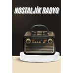Nostaljik Radyo Bluetooth Bağlantılı Müzik Kutusu Ahşap ( Lisinya )