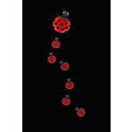 Notebook 6"x9" and 120 Lined Paper: Ladybugs with red polka dot wings for insect lovers