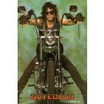 Notebook : Steve Vai Notebook - 100 page lined notebook, Thankgiving Notebook , journal: School, work, college #353