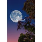 Notebook: Taccuino con 120 pagine a righe – perfetto per appunti, journaling, scuola e idee quotidiane