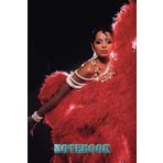 Notebook Weekly Planner : Diana Ross Lined Notebook, Thankgiving Notebook 100 pages , 6x9 inch for School, Home or Work #177