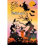 Notizbuch Halloween Zombies Hexe Kürbis Vampir Tagebuch Kürbisgesicht Gruselparty Kürbislaterne Gespenster Erntedankfest Fledermaus Geister Fotoalbum ... Kostüm Spinnen Taschenbuch Süßes Saures 02B27