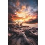 Notizbuch mit 80 karierten Seiten – Dramatische Strandlandschaft mit verwittertem Treibholz und Sonnenuntergang.: Inspirierendes Tagebuch mit ... kreative Köpfe und Momente der Reflexion.