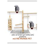 NOTREMONDEPET Kafes üstü jako papağanı ve türleri için platform