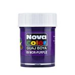 Nova Color Guaj Boya Mor Şişe - 4 Adet