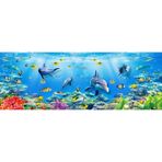 Nova Puzzle 1000 Parça Denizin Derinliklerinde (Akvaryum)