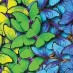 Nova Puzzle 1000 Parça Kelebekler Panorama Puzzle