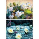 Nova Puzzle 2x1000 Parça Lotus (nilüfer) Çiçekleri Puzzle Seti