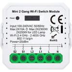 Novato Tuya Uyumlu Ikili Wifi Akıllı Anahtar ( 2X10A / 220V Röle) Çift Çıkışlı, Anahtar Girişli, Google Asistan , Alexa Destekli - 1 Adet