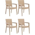 Novussi 4 Adet Novussi Paris Rattan Kollu Sandalye Koltuk Kapiçino