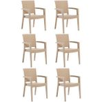 Novussi 6 Adet Cappuciono Paris Rattan Kollu Sandalye Koltuk