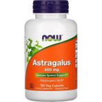Now Astragalus 500 mg 100 Veg Capsules - Aromasız