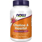 Now Choline & Inositol 100 Veg Kapsül Amerika Menşeli Vitamin ve Mineral Takviyesi