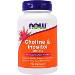 Now Choline & Inositol 500mg 100 Veg Capsules Usa Version