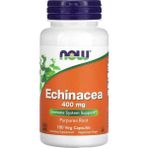Now Echinacea Purpurea Root 400 mg 100 Veg Kapsül - Aromasız