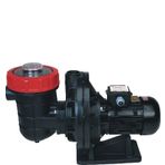 Nozbart İlk Seri Trifaze 1 Hp Pompa