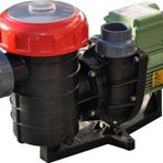 Nozbart Şirin Serisi Monofaze 1 HP Havuz Pompası