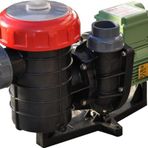 Nozbart Şirin Serisi Monofaze 3/4 HP Havuz Pompası