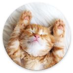 Nphuriy Mouse Pad, Sevimli Küçük Yavru Kedi Uyur Mouse Pad, Ofis Dizüstü Bilgisayar için Yuvarlak Sevimli Oyun Bezi Fare Altlığı, Kaymaz Kauçuk Kişiselleştirilmiş Bilgisayar Masası Kablosuz Fare için Fare