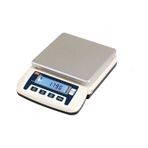 Ns 6 kg 0,5 gr Hassas Terazi